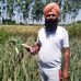 Satnam Singh Agriculture Farm Bal - Facebook