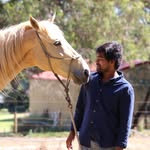 Satya Boddu - @tej__004 - Instagram