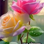 Satya Gade - @2315.satya - Instagram