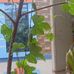 Satya Murthy - Facebook