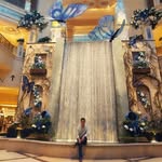 Saul Alvarado - @saul.alva - Instagram