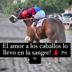 Saúl Badillo - Facebook