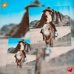 Saul Bahena - @saul.bahena.313 - Instagram