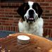 Saul Bauer II - Facebook