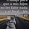 Saul Bello550 - @saulbello23 - TikTok