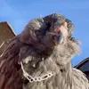 Saul Bernal - @saul01012 - TikTok