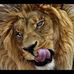 Saul Bernal - Facebook