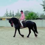 Saul Campos - @saul4762 - Instagram