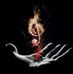 Saul Canales - Facebook
