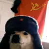 Saúl Canales - @pokets_3214 - TikTok