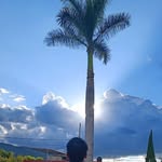 Saul Cano - @el_sxulcan - Instagram