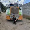 saulcarrillo4132 - @saulcarrillo4132 - TikTok