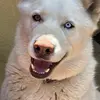 saulchavez190 - @saulchavez190 - TikTok