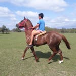 Saul Coronel - @saulcoronel423 - Instagram