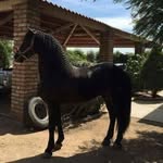 Saul Coronel - @saul.coronel.589 - Instagram