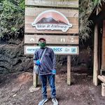 Saul Coxe - @saulcoxe - Instagram