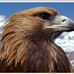 Saul Eagle - Facebook