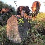 Saul Freeman - Facebook