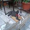 @saul_gray02_. - @saulgray__3__.xd - TikTok