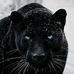 Saul Islas - Facebook
