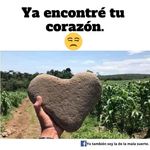 Saul Jasso - @saul.jasso.144 - Instagram