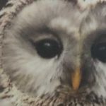 Vincent Saul Katz - @griffingriffin2381 - Instagram