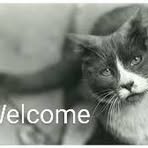 Saul Leiter's cat - Facebook