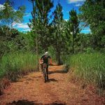 Saul Leon - @saulleon7771 - Instagram