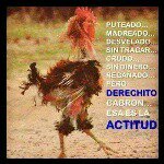 Saul Leon de Ruiz - @saul.leon - Instagram