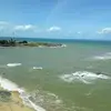 rachelsaullevy - @rachelsaullevy - TikTok