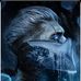 Saul Loera Llanas - Facebook