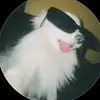 Saul Logan - @saul.logan - TikTok