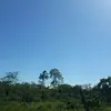 SAUL MAY😎🎊🎉👍👍👍👍✌️♥️😎 - @saul.may5 - TikTok