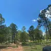 Saul Mena - @saul.mena - TikTok
