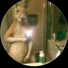 Saul Mora - @saul.mora37 - TikTok