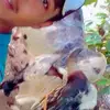 Saúl Olea862 - @olea1420 - TikTok