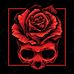 Saul Prado - Facebook