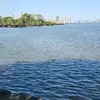 Saul Roman - @saul.roman1 - TikTok
