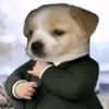 Alejandro - @saulsegales01 - TikTok