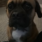 Saul Smith - Facebook