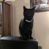Saul Smith - @saul.smith0 - TikTok