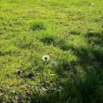 saul stein - @saul_stein - Instagram