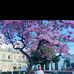 Saul Stoker - Facebook