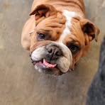 Saul Suazo - Facebook