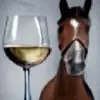 cavalo com um vinho 🍷 - @saulo.sullivan.co - TikTok
