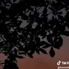 saul valle - @saul.valle7 - TikTok