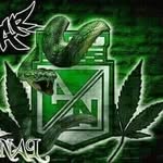Saul Velez - @saulvelez234 - Instagram
