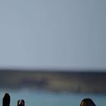 Saul Walker - @saulwalker14 - Instagram