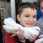 Saul Ward - @saulward2 - Instagram