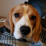 Saulward12 - @saul.ward12 - Instagram